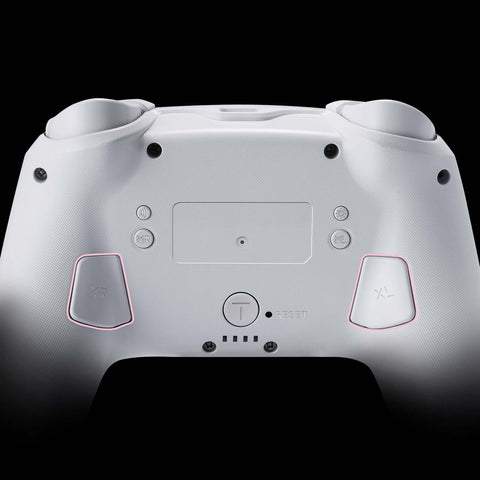 FUNLAB Firefly Pro Wireless Switch Controller - Ghost